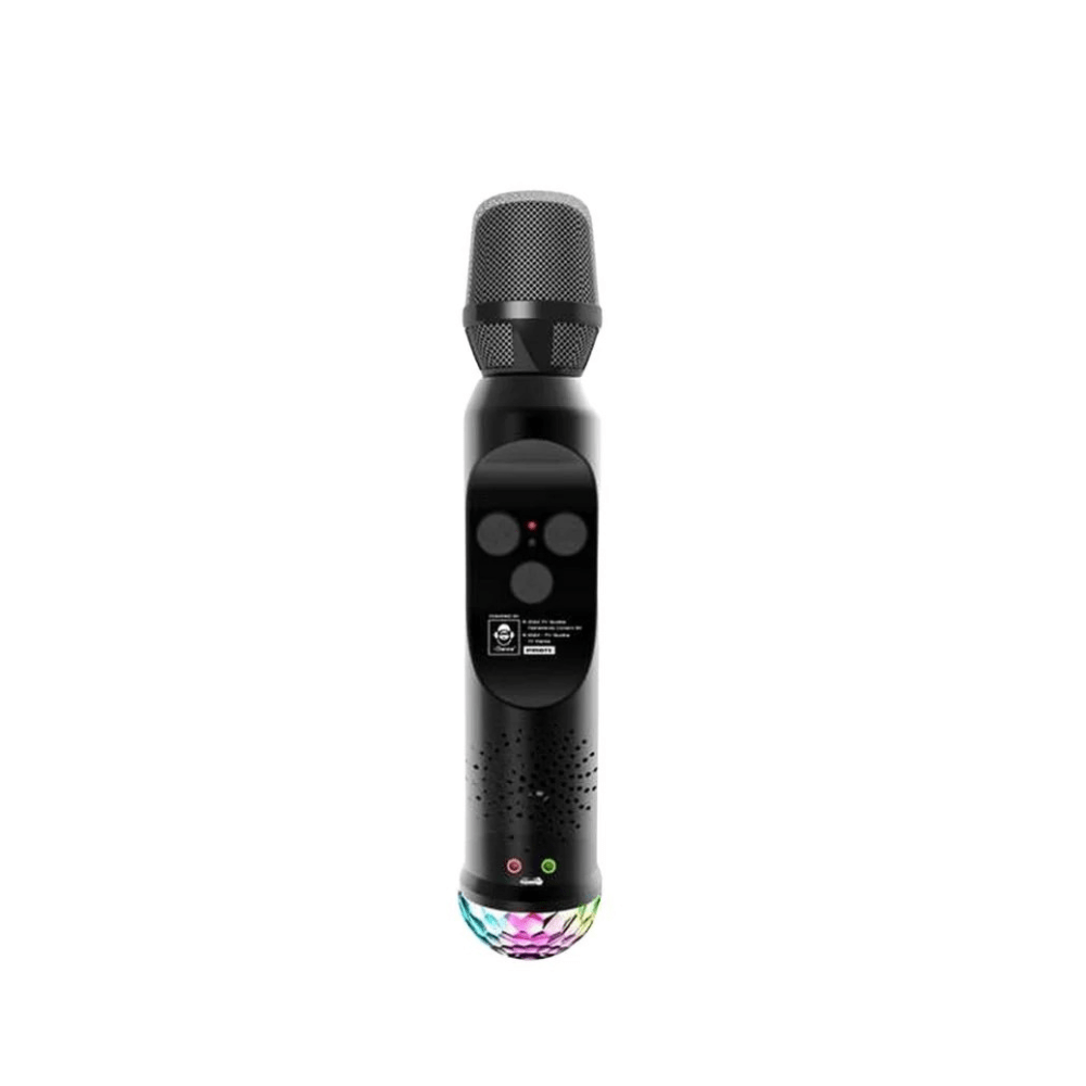 Karaoke The Voice Microphone Toy - Idance - The Toy Store