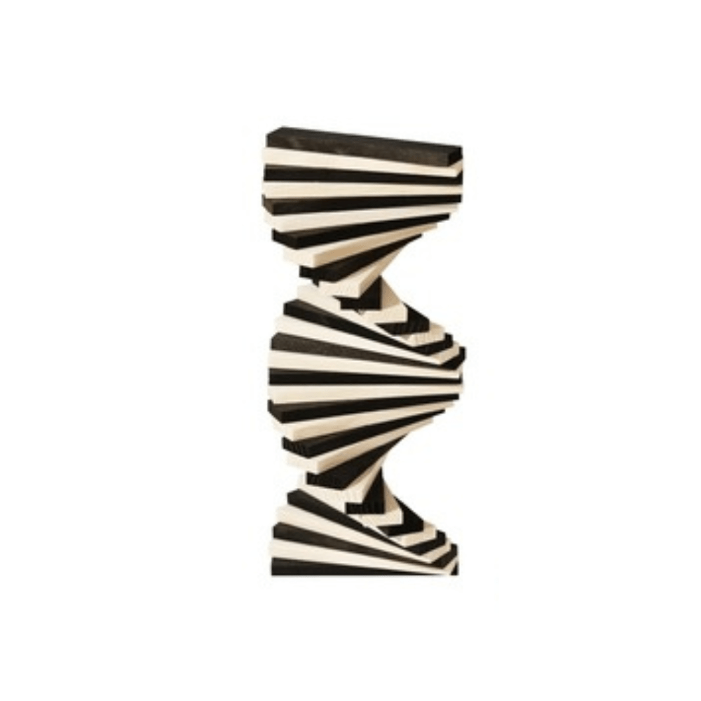 Black & White 100 Black and White Boards - Kapla - The Toy Store