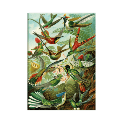 Puzzle Haeckel Hummingbirds 1500Pcss - KS Games - The Toy Store