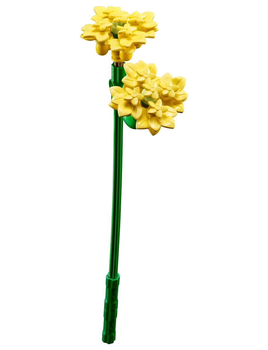 Tall stem with yellow blossoms, green rods and layered flower heads