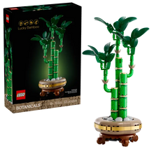 Lucky Bamboo building set box with green bamboo model and round pot base