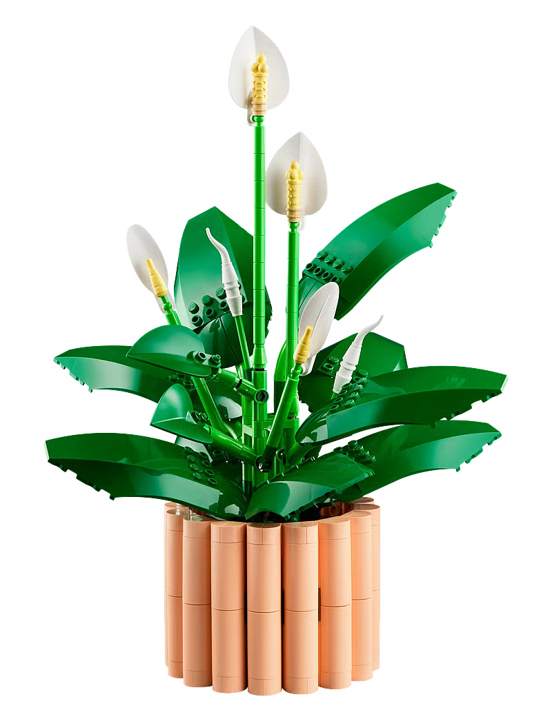 Buildable Peace Lily with green leaves and white flower spathes in beige ribbed pot