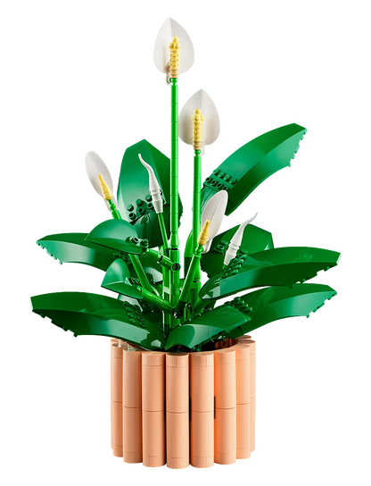 Buildable Peace Lily with green leaves and white flower spathes in beige ribbed pot
