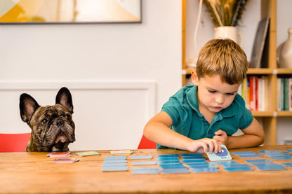 Memo Des Couleurs Memory Game - Nathan - The Toy Store