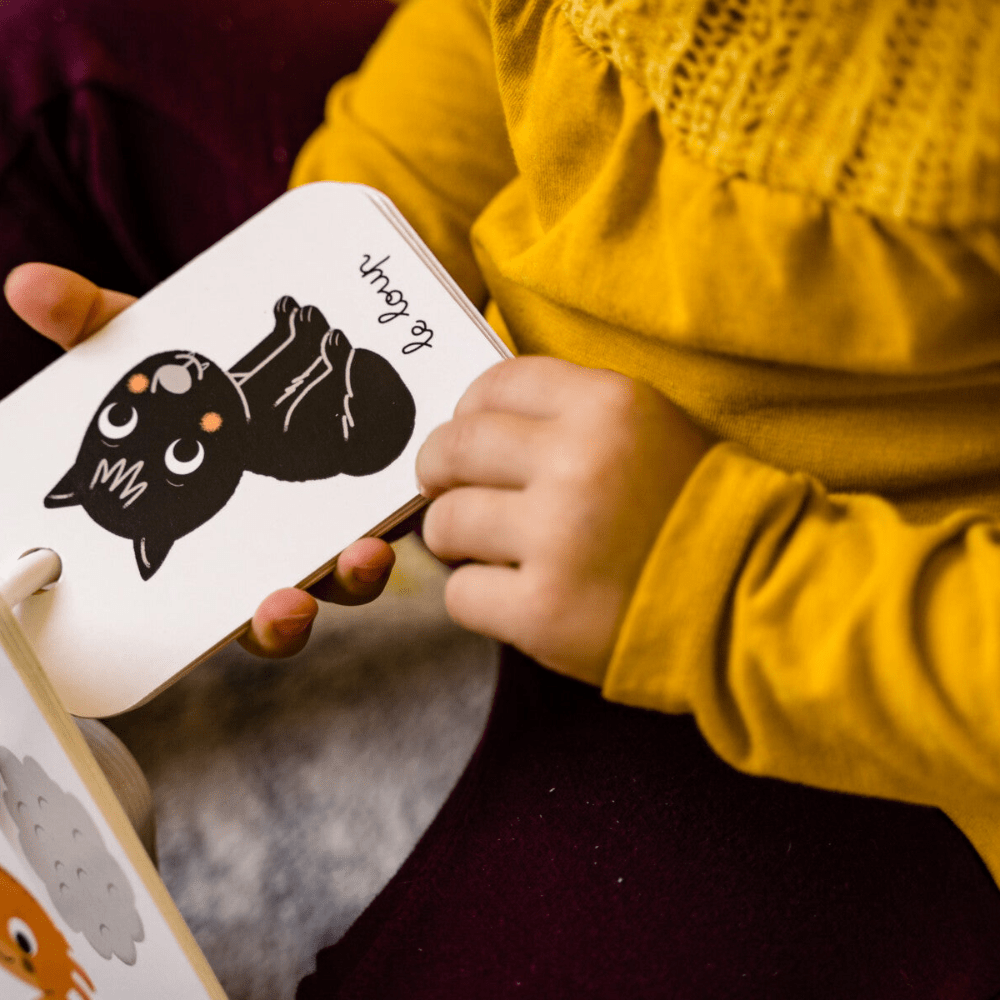 Mon Imagier Des Couleurs Book - Nathan - The Toy Store