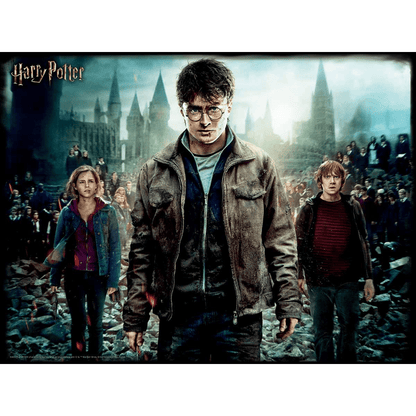Harry Potter, Herminona and Ron Puzzle - Prime 3D - The Toy Store