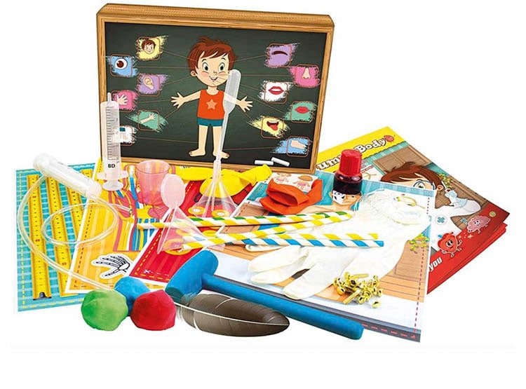 Anatomy learning kit with model parts, worksheet set, and colorful tools on table