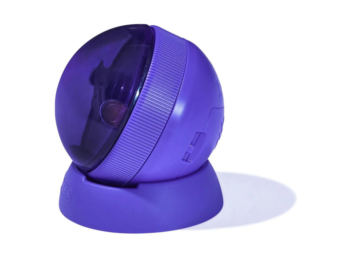 Bitzee Interactive Hamster Ball - Spin Master - The Toy Store