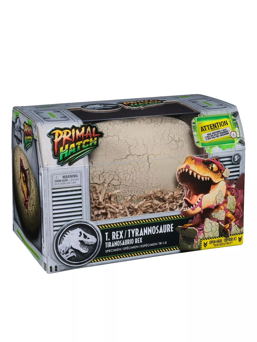Hatching Dinosaur T - Rex - Spin Master - The Toy Store