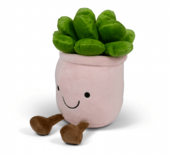 Animigos Funky Friends - Tobar - Succulent - The Toy Store