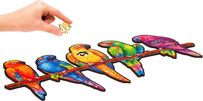 5 - in - 1 Playful Parrots 193 - Pc Puzzle - Unidragon - Small - The Toy Store
