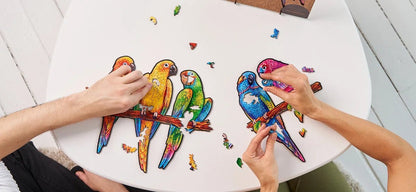 5 - in - 1 Playful Parrots 193 - Pc Puzzle - Unidragon - Small - The Toy Store