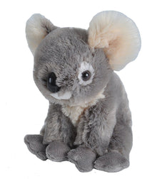 Eco - Mini Koala Plush - Wild Republic - The Toy Store