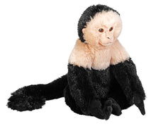 Eco White Faced Capuchin Plush - Wild Republic - The Toy Store