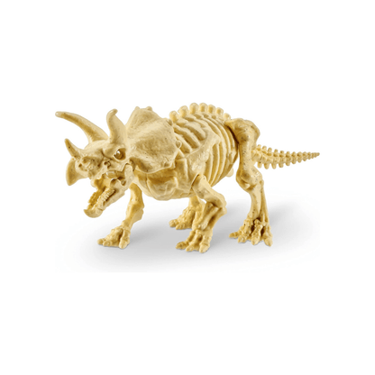 Fossil dinosaur skeleton model piece in light beige with tail and legs