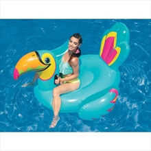 Tipsy Toucan Ride-On 1.80m x 1.46m