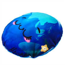 Earth Story Pillow