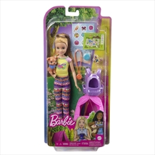 Barbie It Takes Two Camping Doll Playset - Assorted