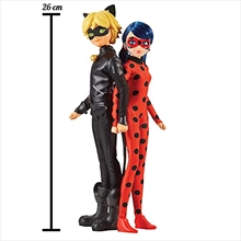 Ladybug And Cat Black- 26 cm