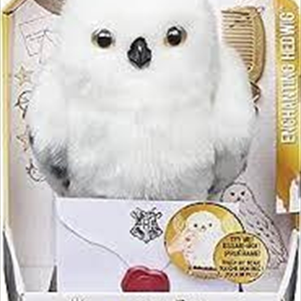Enchanting Hedwig